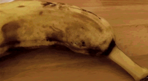 daily_gifdump_843_10.gif