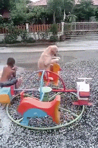 daily_gifdump_844_08.gif