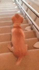 daily_gifdump_844_26.gif