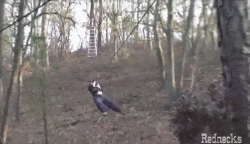 daily_gifdump_991_16.gif