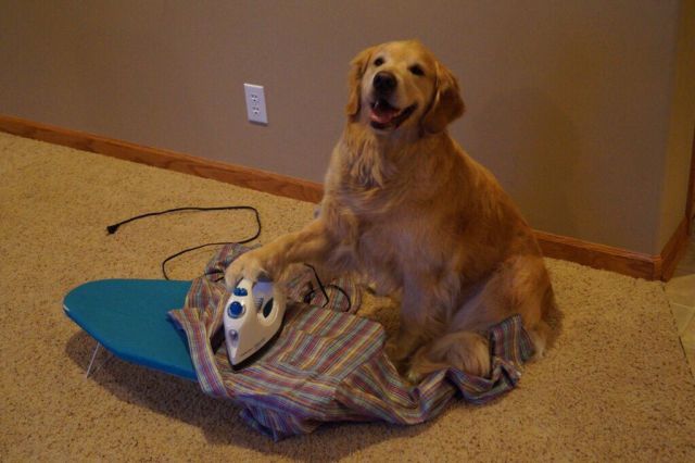daily_picdump_1793_640_32.jpg