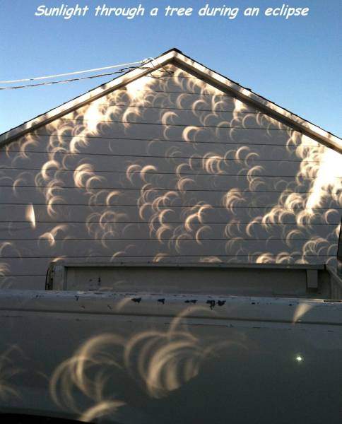 daily_picdump_1889_640_40.jpg