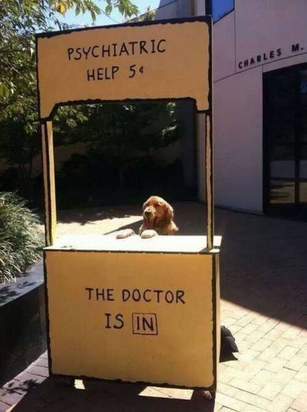 daily_picdump_1935_640_48.jpg
