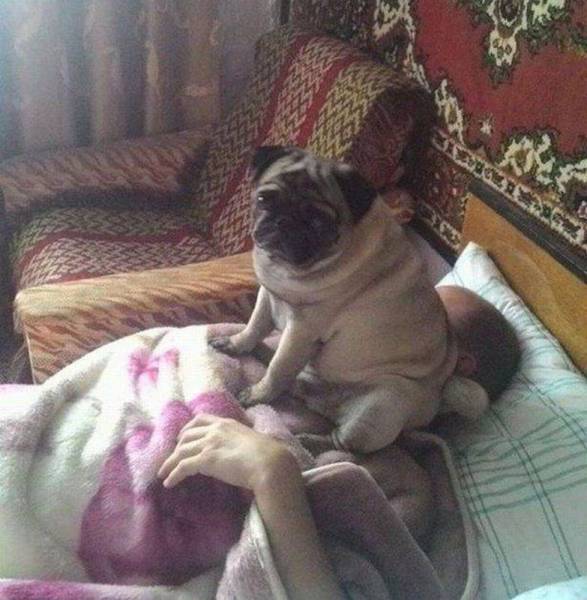 daily_picdump_1980_640_80.jpg