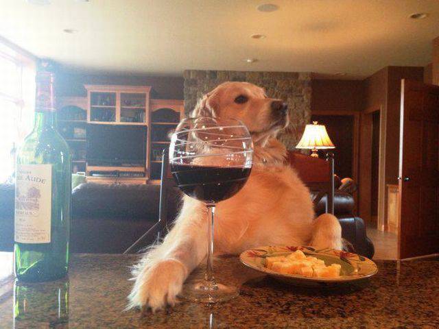daily_picdump_1985_640_22.jpg