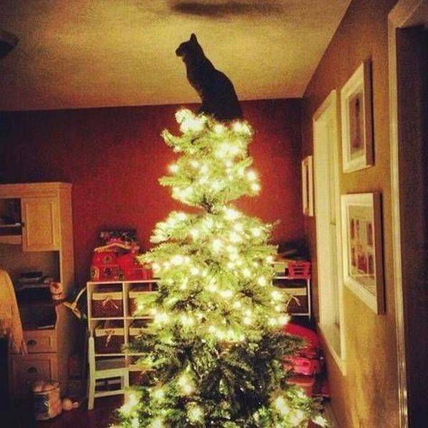 daily_picdump_1989_640_79.jpg