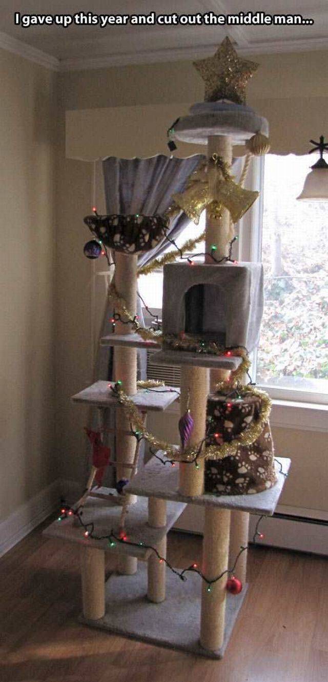 daily_picdump_1992_640_high_87.jpg