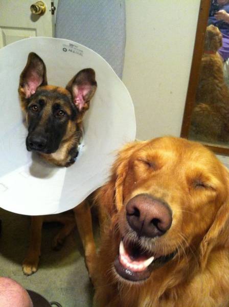 daily_picdump_2024_640_27.jpg