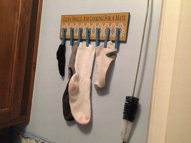 daily_picdump_2024_640_30.jpg