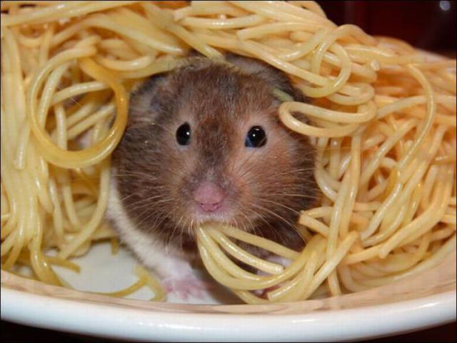 daily_picdump_2025_640_84.jpg