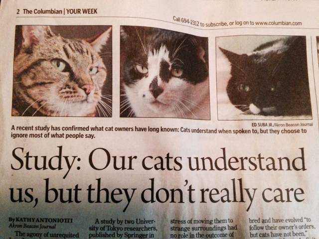 daily_picdump_2029_640_47.jpg