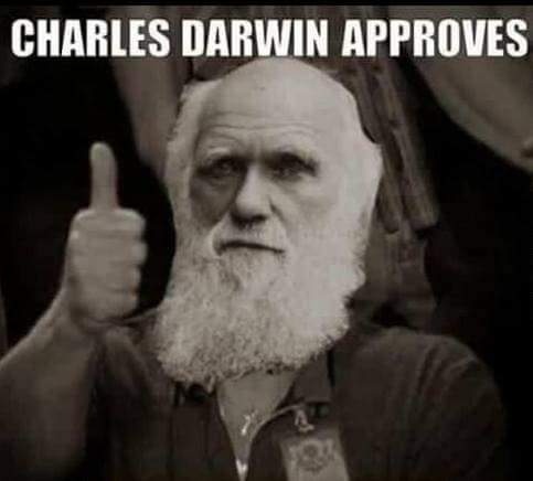 Darwin approves.jpg