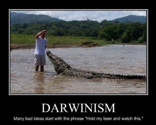 darwin-award-winner1.jpg