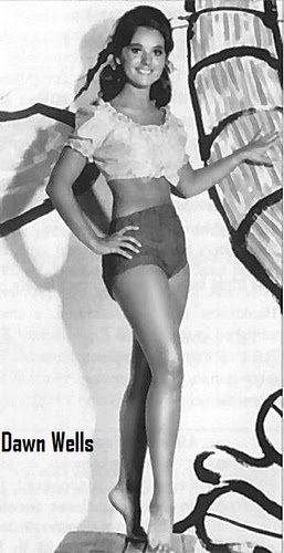 Dawn-Wells.jpg