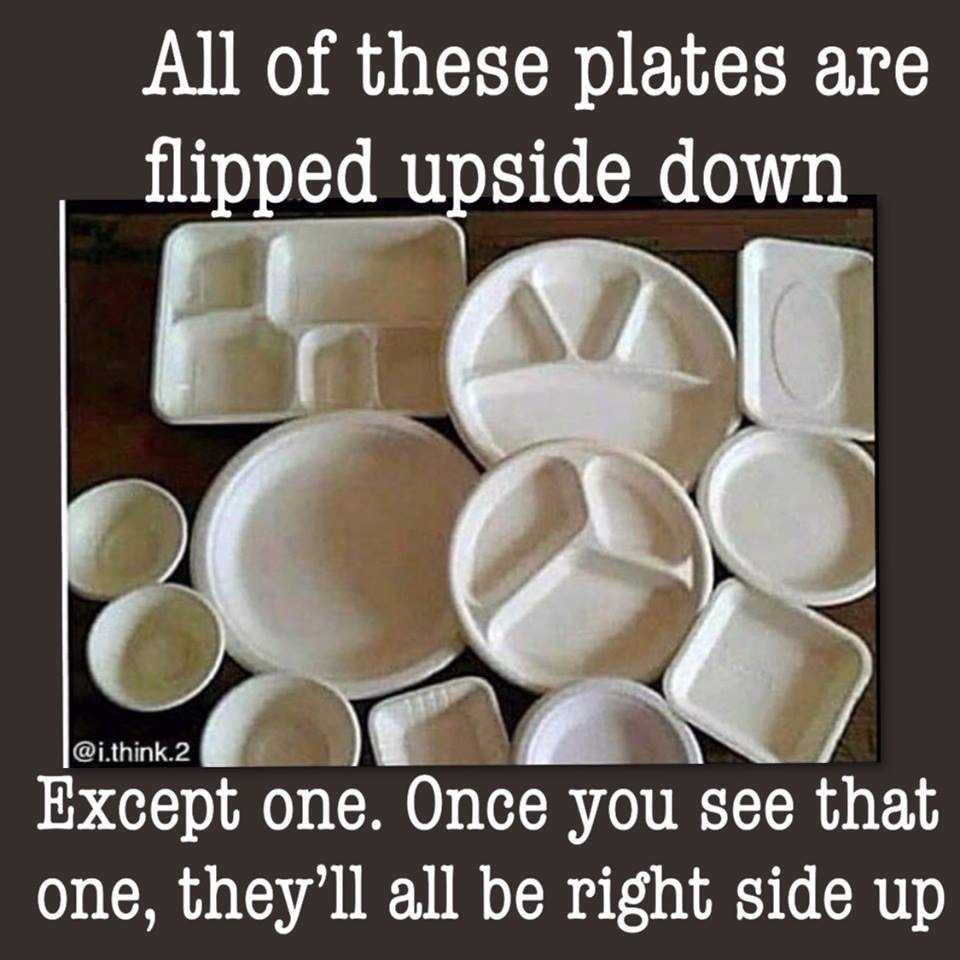 DB425E85-9F7C-4A94-A68D-B1DE853086C3.jpeg