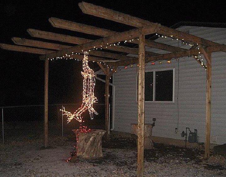 Dead reindeer lights.jpg
