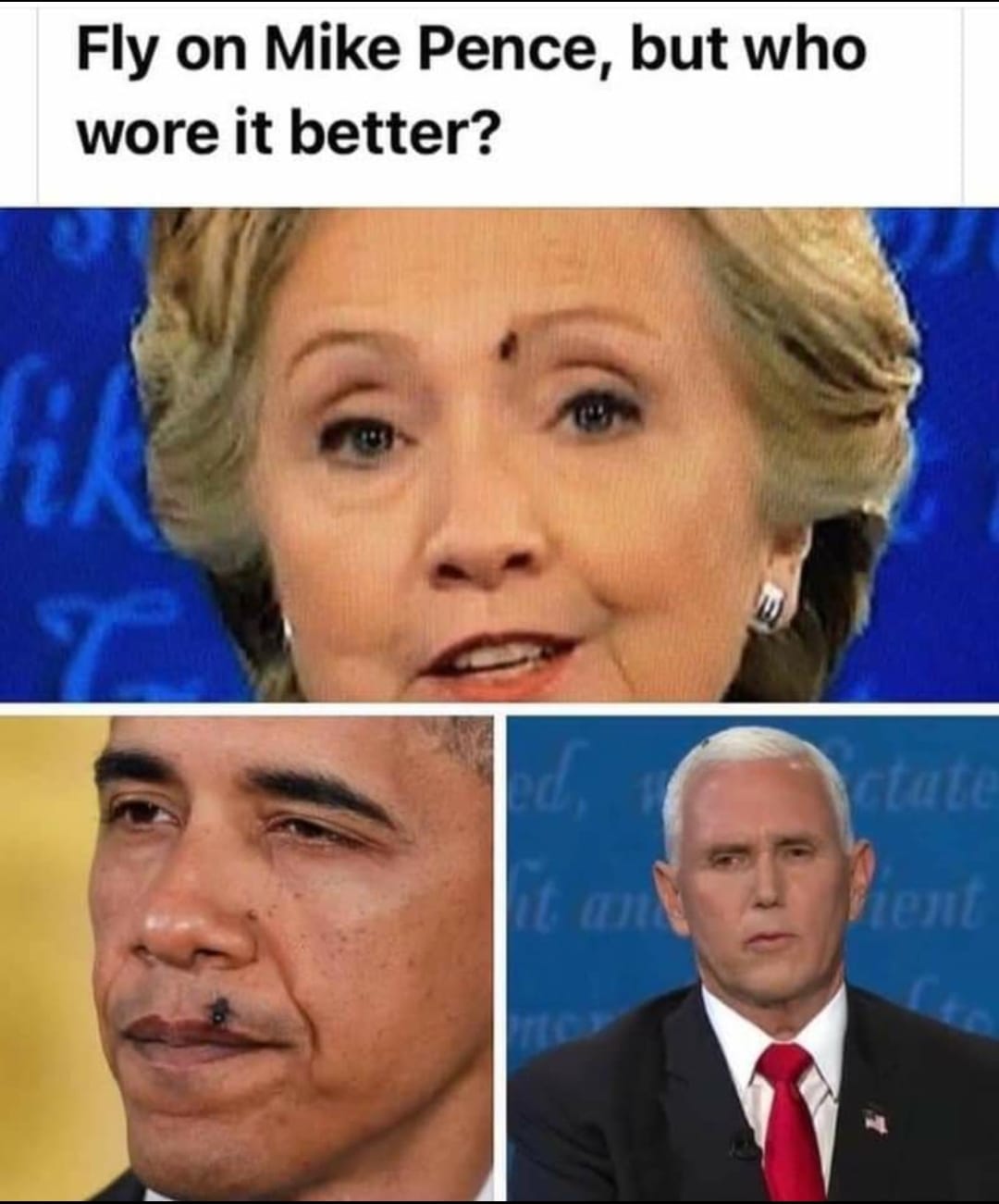 debateflies.jpg