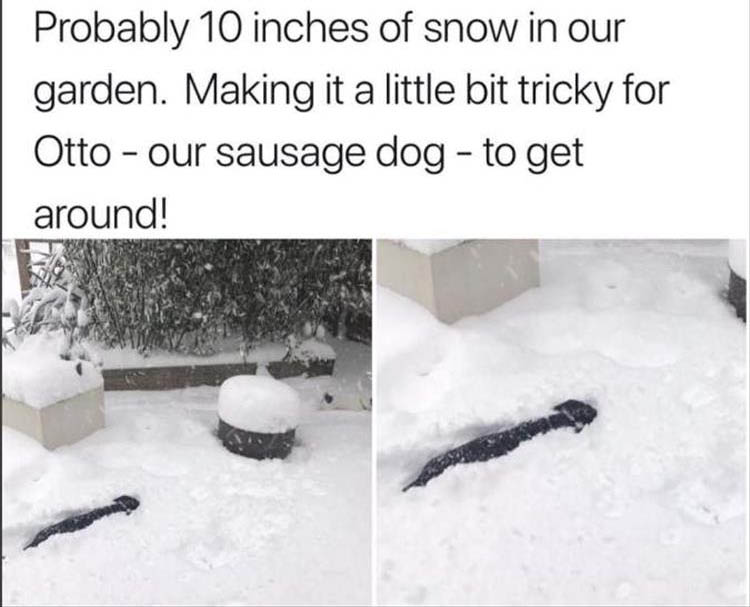 deep-snow.jpg
