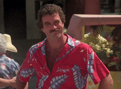 DefenselessSecondhandKodiakbear-max-1mb.gif