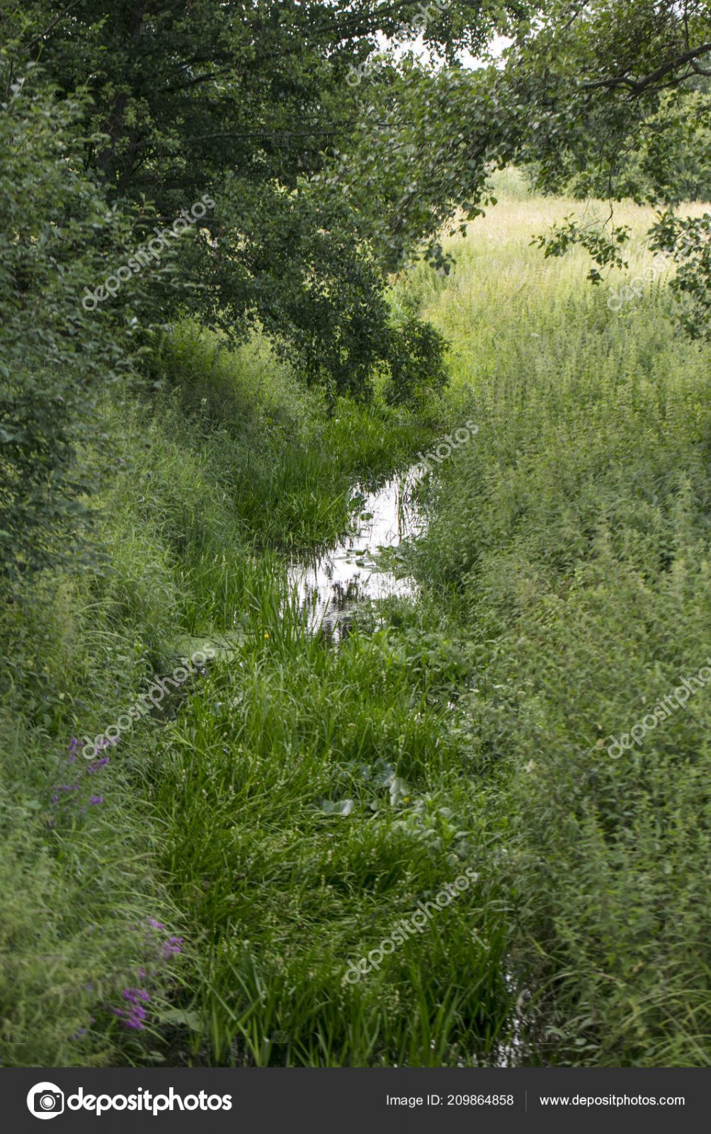 depositphotos_209864858-stock-photo-small-rive.jpg