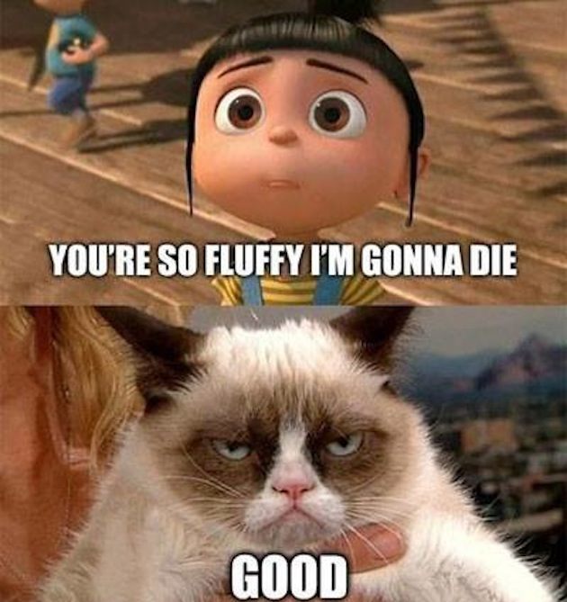 Despicable-Me-and-Grumpy-Cat.jpg