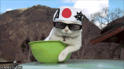 DJ1rov60OSAx2.gif