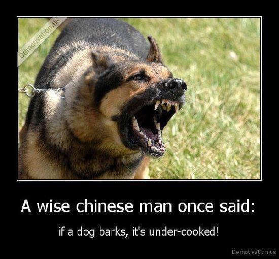dog.jpg