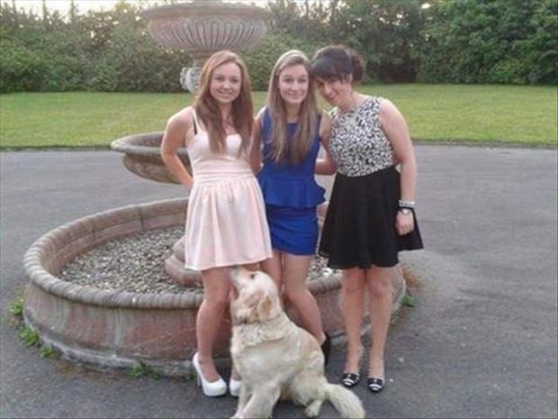 dog-looks-up-womans-dress.jpg