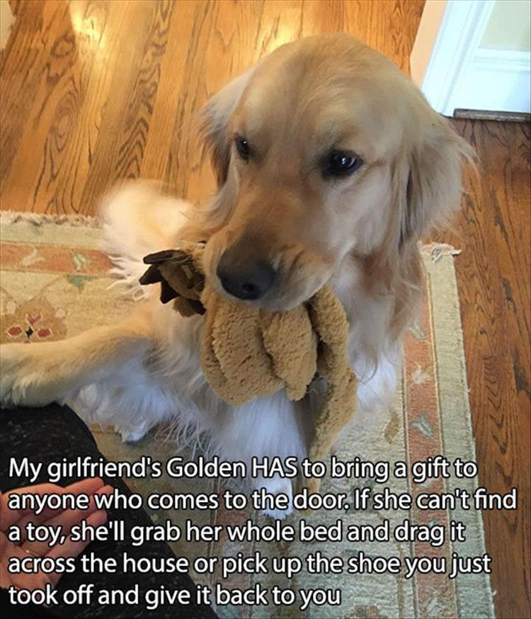 dog-owners-18.jpg