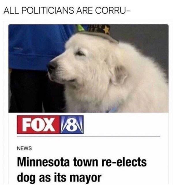 dog_memes_03.jpg
