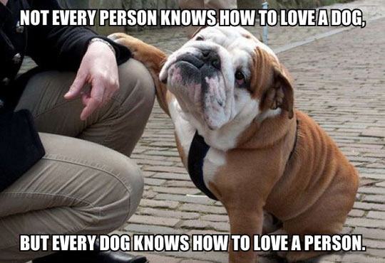 dog_owners_understand_20.jpg