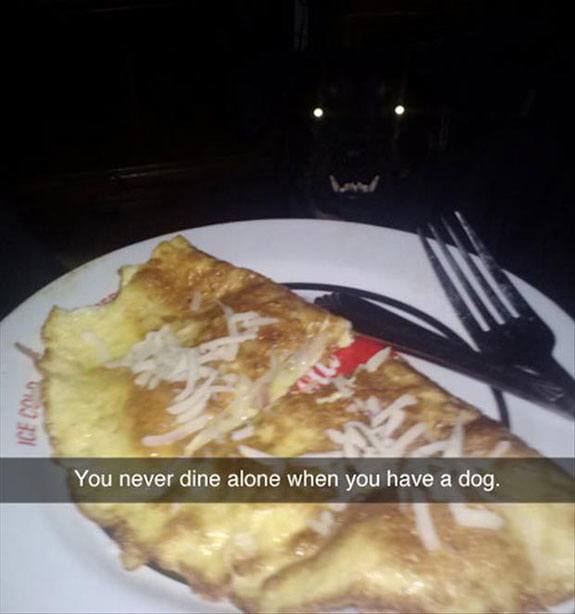 dog_owners_understand_32.jpg