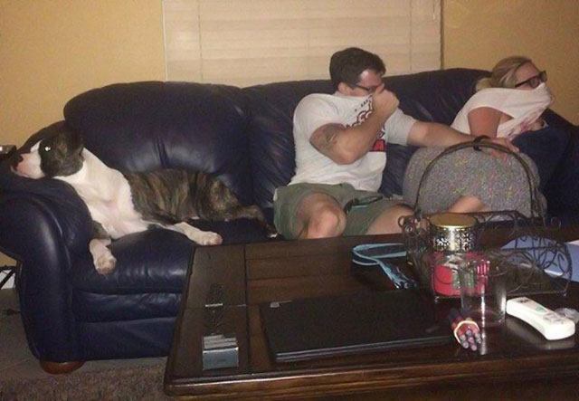 dog_owners_understand_33.jpg