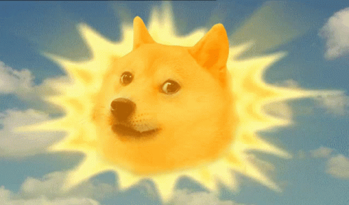 Doge.gif