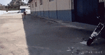 Doing-it-right-26.gif