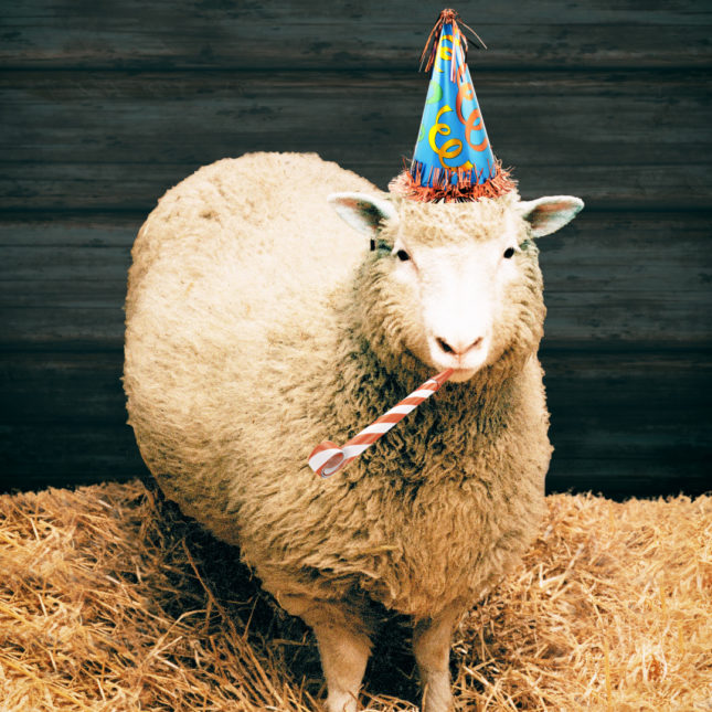 DOLLY_BDAY_03-645x645.jpg