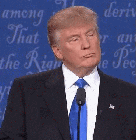 donald_trump_wrong_zoom_9112613.gif
