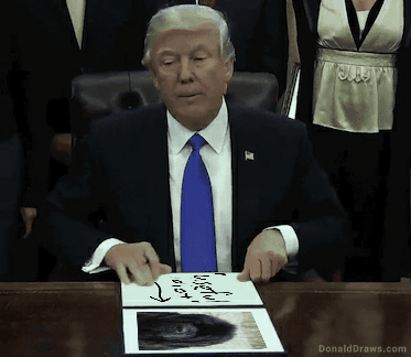 DonaldDraws1532195743069.gif