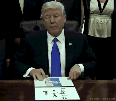 DonaldDraws1533836006040.gif