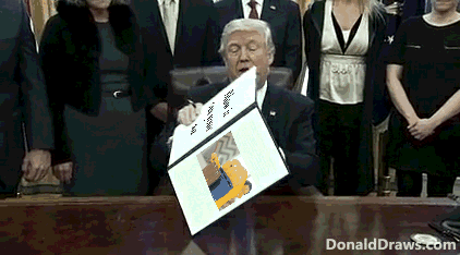 DonaldDraws1533865258908.gif