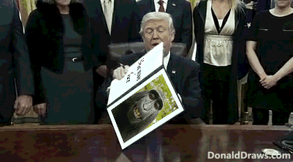 DonaldDraws1533914610755.gif