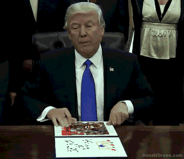 DonaldDraws1533926258710.gif
