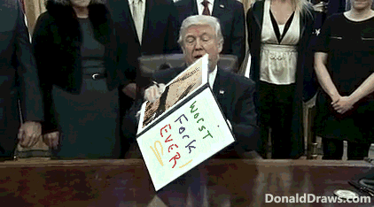 DonaldDraws1533990349002.gif