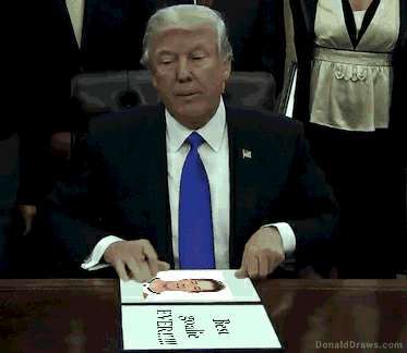 DonaldDraws1534519170225.gif