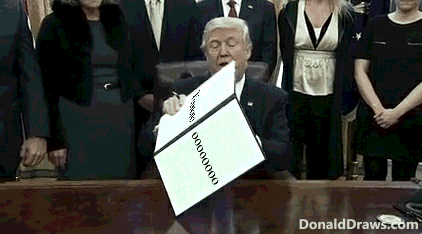 DonaldDraws1534615504440.gif