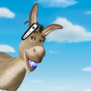 donkey.jpg