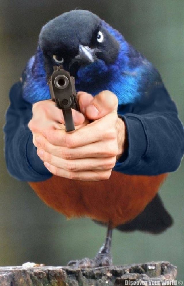 dont think so.jpg