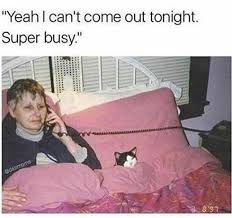 download.jpeg-5.jpg