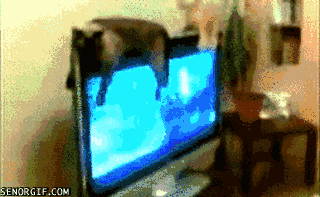 DPojzfldAmVuE.gif
