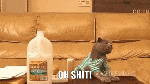 DQmXVPd8queo49TAjK3XM3VBSi2s8f24K9PVCBq7d34swaG.gif